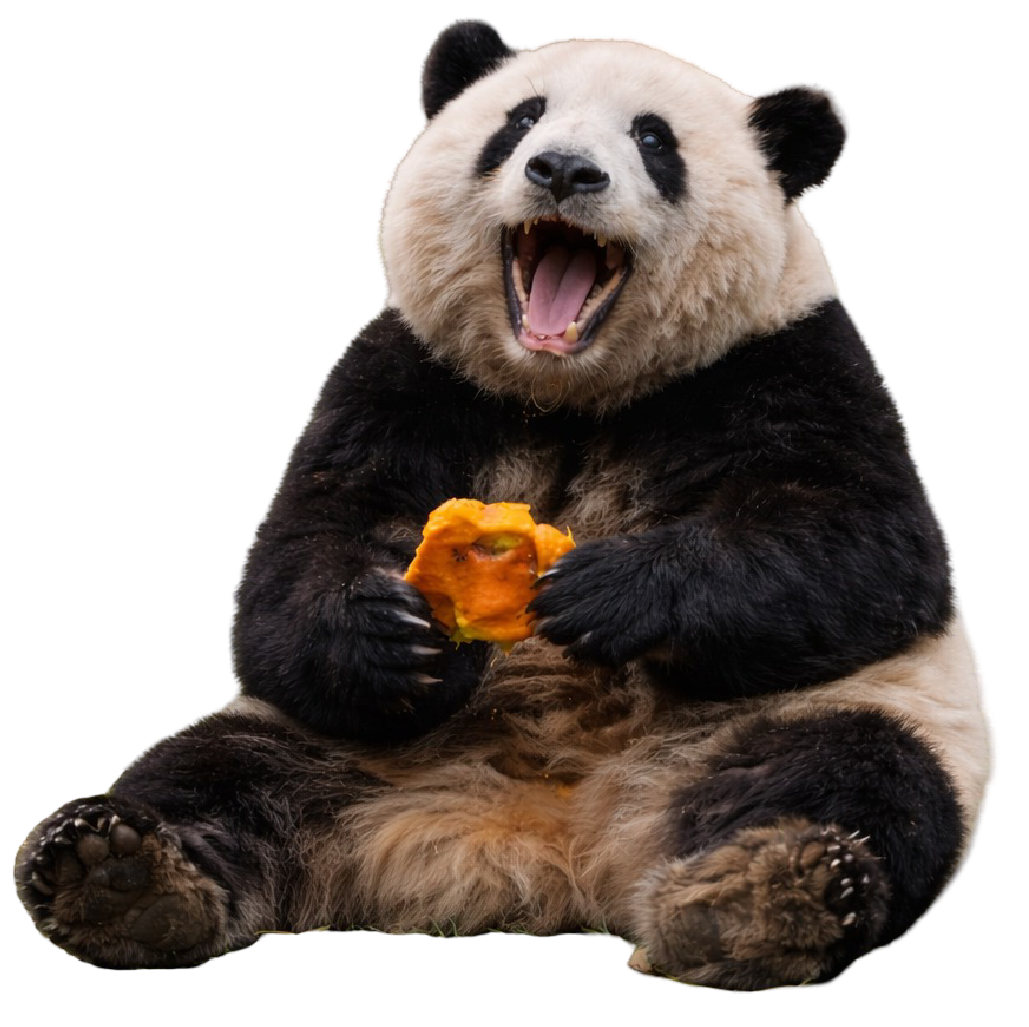 NamDuong Panda